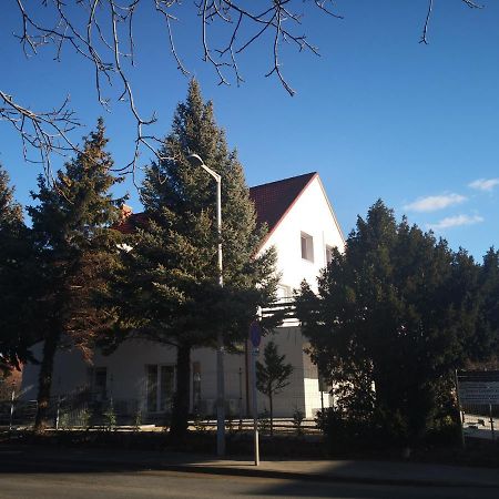 Thomas Panzio Bed & Breakfast Balatonfured Bagian luar foto